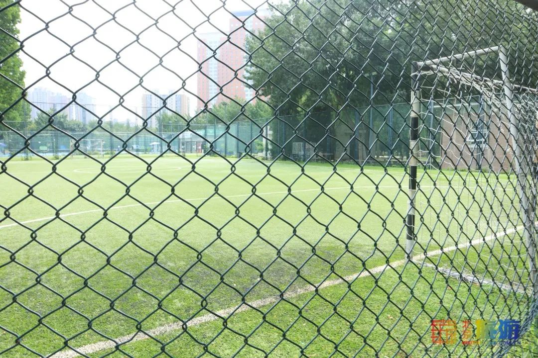 免费！市区就有“小森林”，花海芳香扑鼻！还有美好的祝福送给你