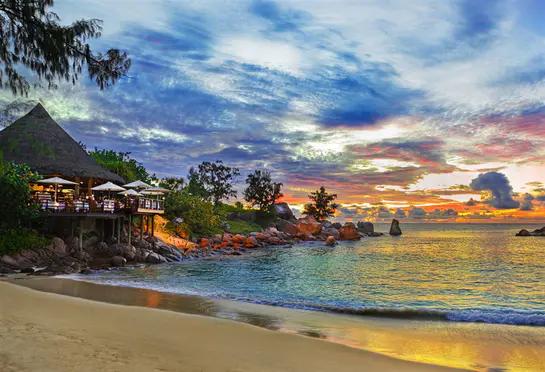 被变异的动物有什么情况,被变异的动物有多可怕