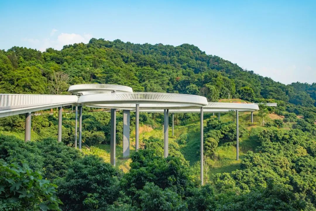 深圳玻璃桥免费旅游攻略,深圳玻璃桥古龙峡