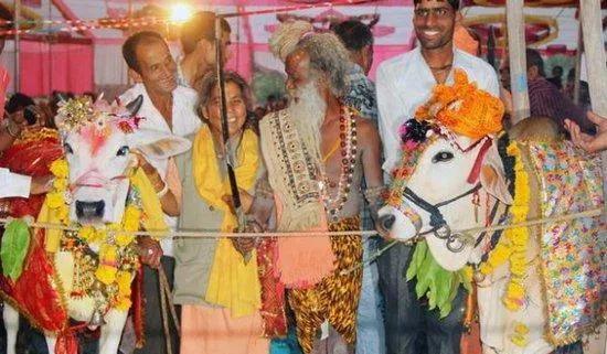 你不知道的国家冷知识印度篇,关于印度的冷知识你知道多少