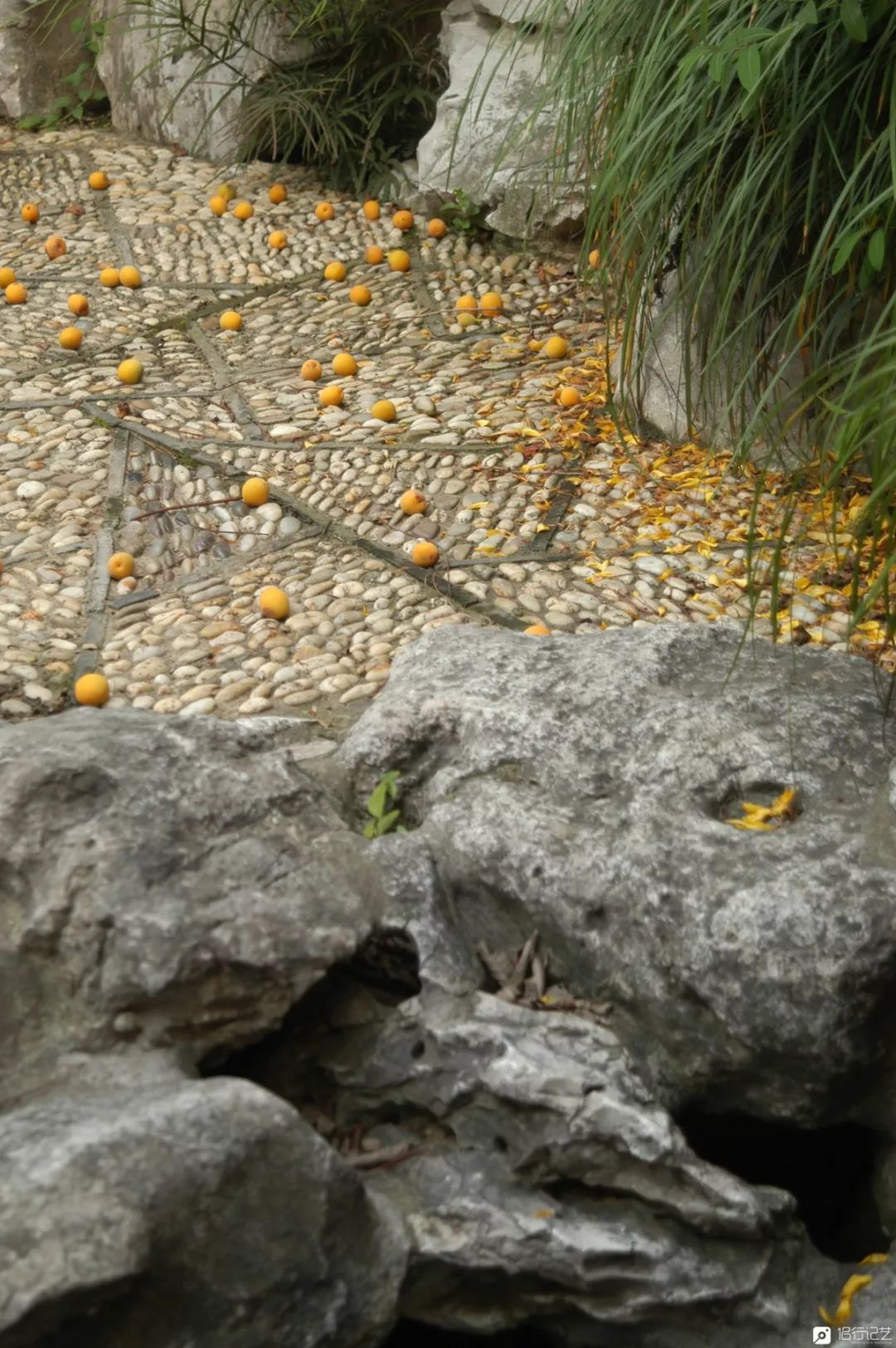 大叔花700万建的花园别墅,太湖石苏州