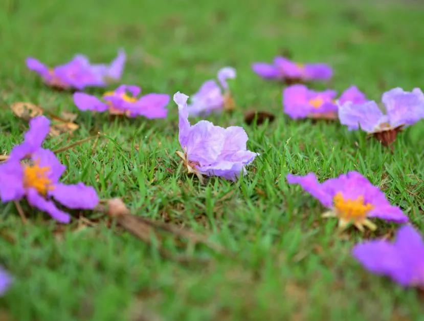 对一张琴一壶酒一溪云,几时归去作个闲人对一张琴一壶酒