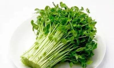 网评最难吃的水果,全网最难吃的蔬菜