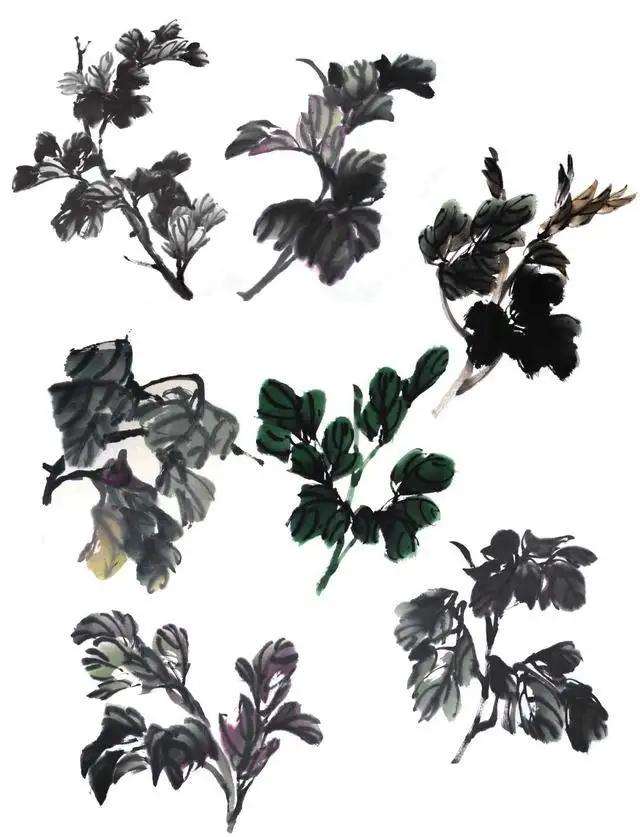 学习写意牡丹画的方法,学习写意牡丹画的步骤