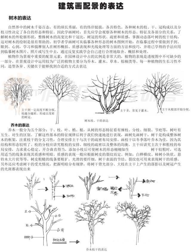 儿童绘画涂色基础入门教程,零基础新手绘画入门教程