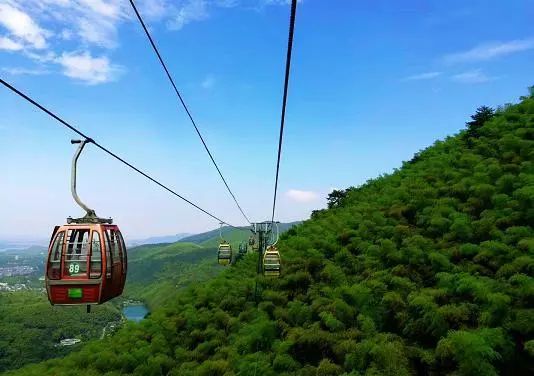 竹海宜兴游学,宜兴竹海游玩一般需要多少时间