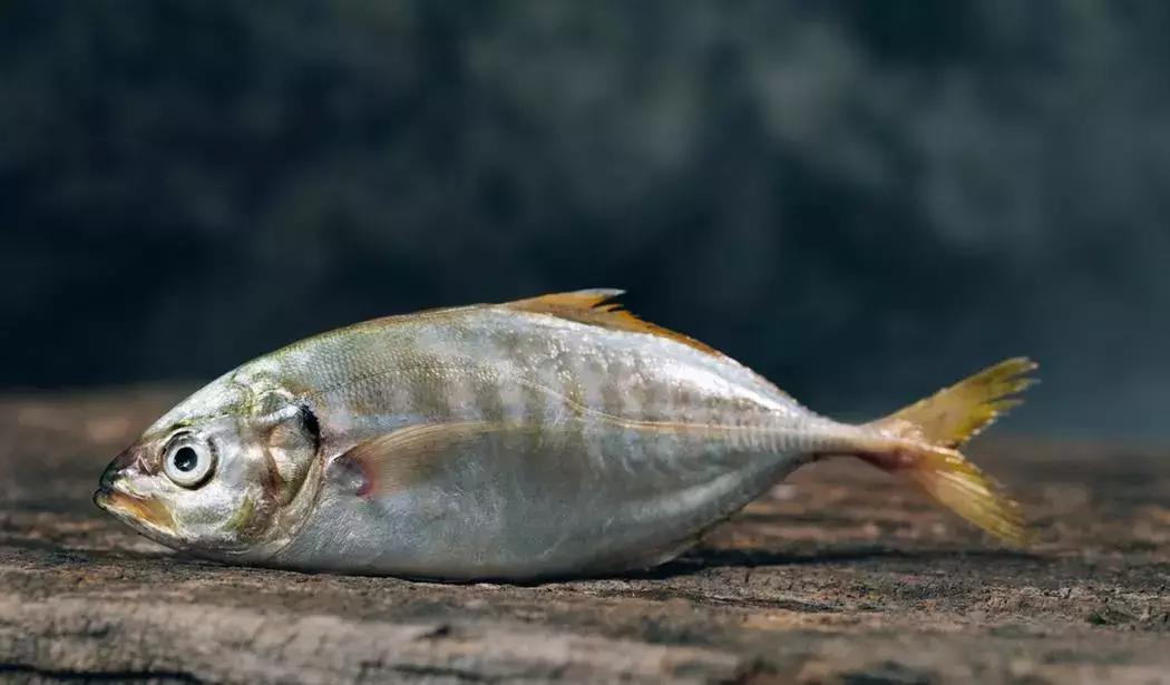 维生素食补还是药补,糖尿病患者容易缺乏哪些维生素