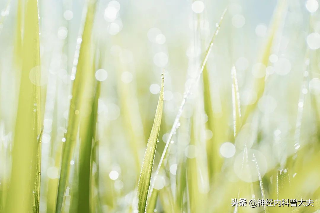 脑梗以后不吃药行不行，别着急做决定，先了解下脑梗的三大危害