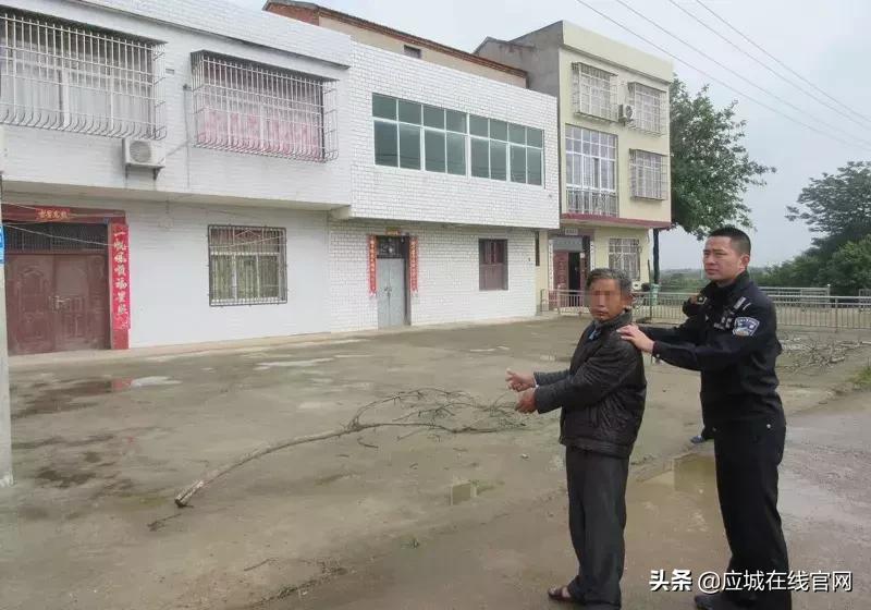 应城新闻今日,2019应城新闻今日头条