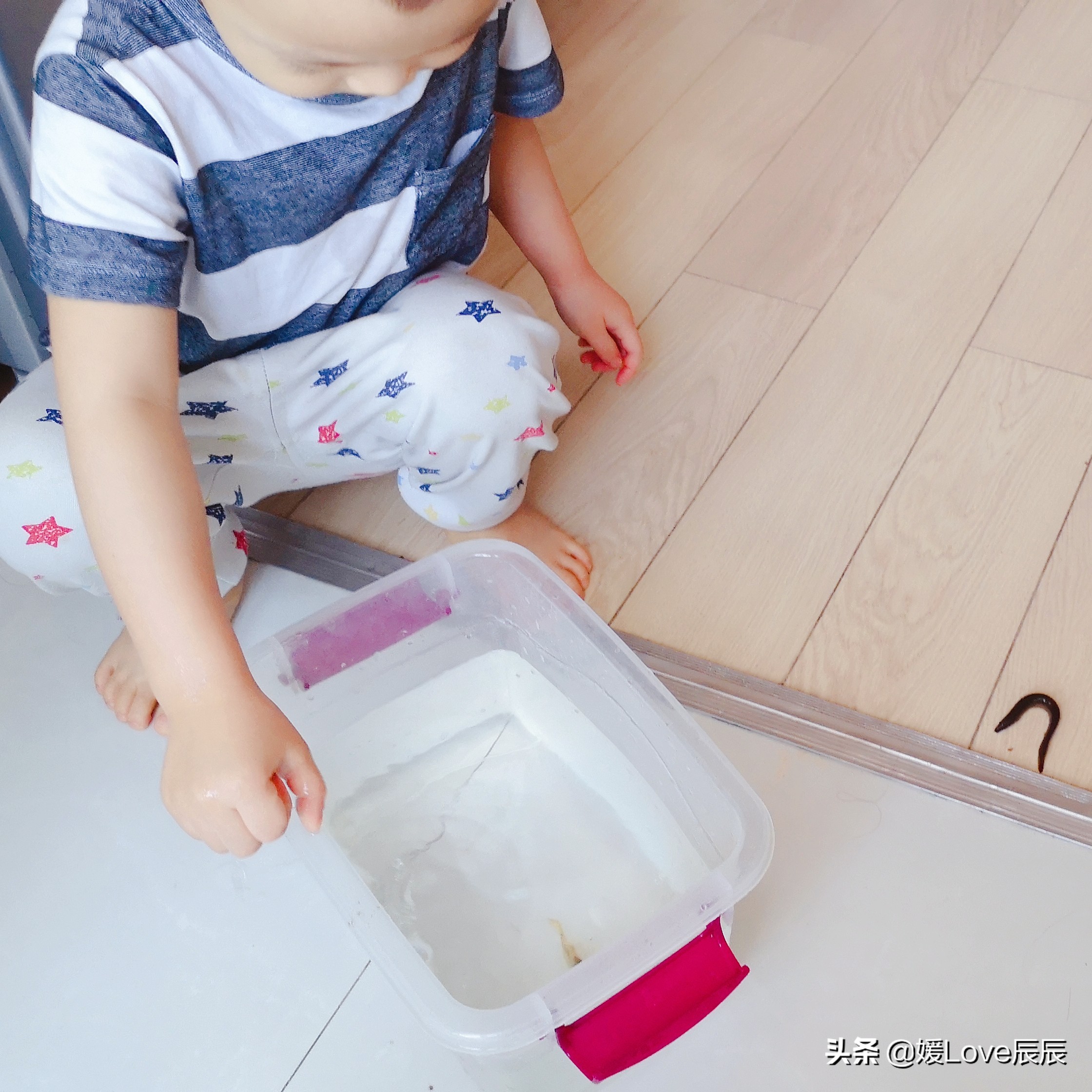 育儿百科十万个为什么,宝宝早教十万个为什么