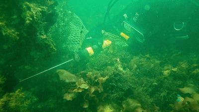 普通人怎么用手机拍大片,普通人用手机如何拍视频