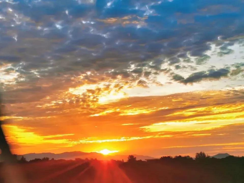 安徽省合肥师范学院2024招生简章,安徽省合肥师范学院今年投档线