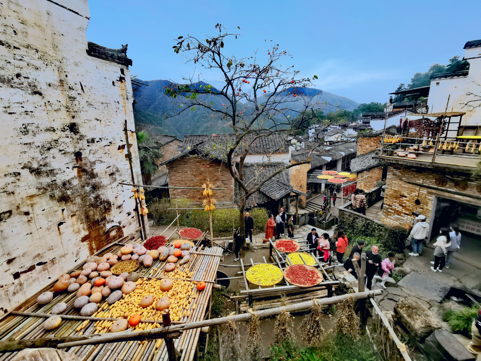 濠烘簮绡佸箔寰芥淳寤虹瓚浜虹敓鎰熸偀,濠烘簮绡佸箔鎰熸偀