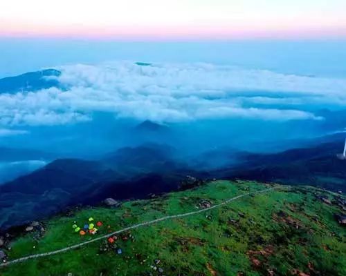 毒app背后的资本,毒app创始人杨冰简介