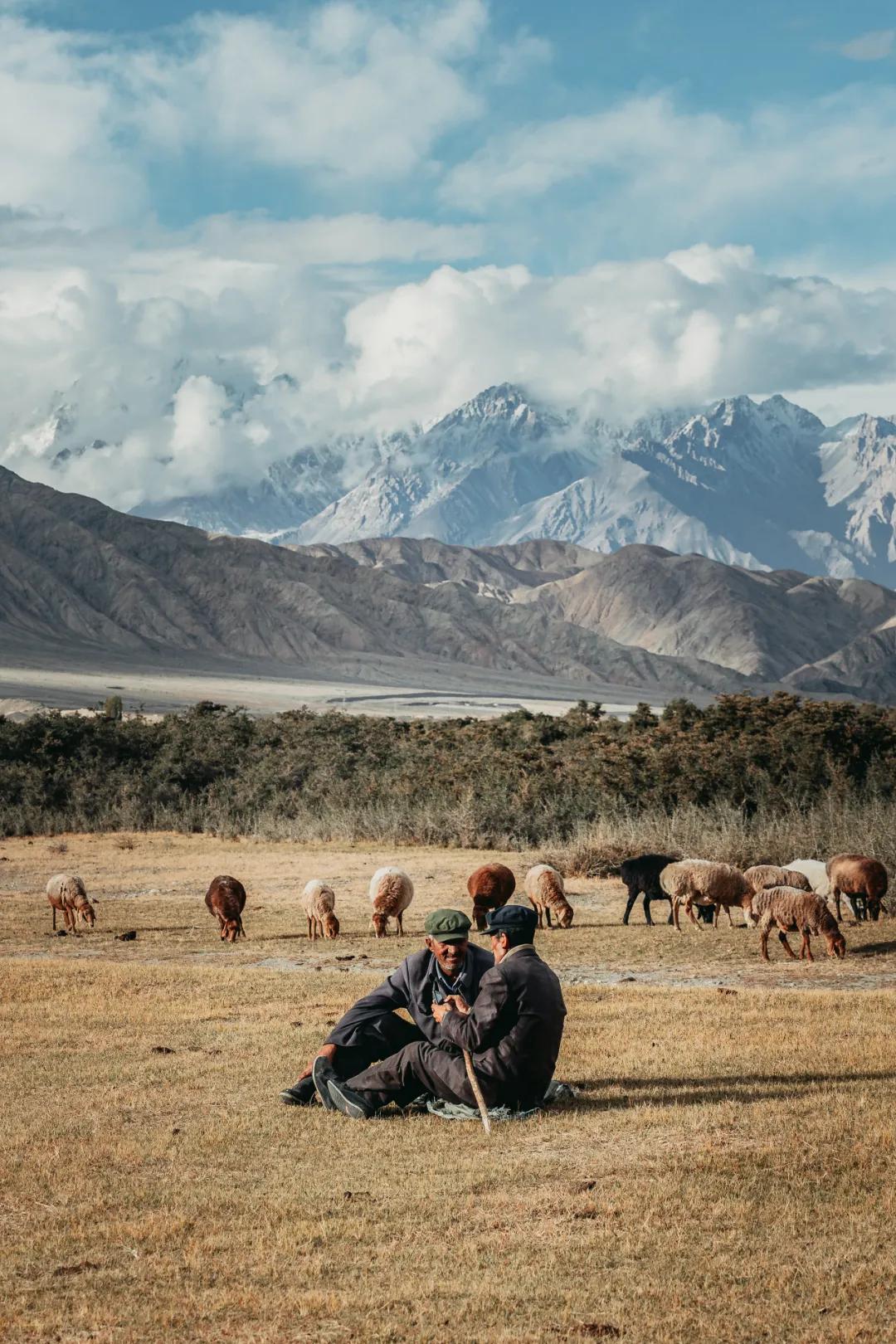 喀什比较好的烤羊肉店,喀什烤羊肉最好吃的地方