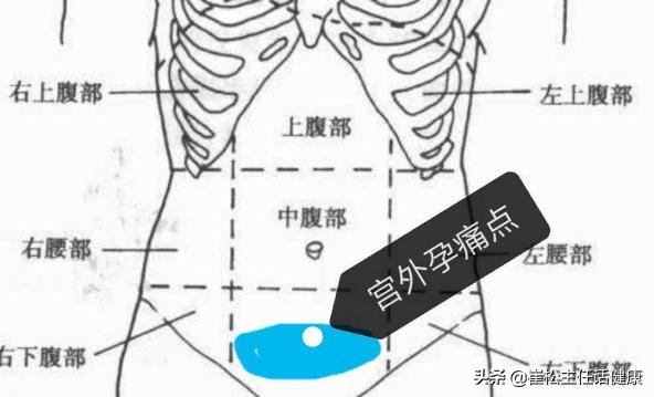 不想去医院第三弹！腹部不适的自我诊察