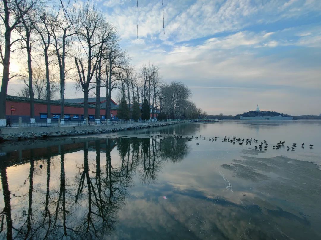 广角次品,广角失真是啥意思