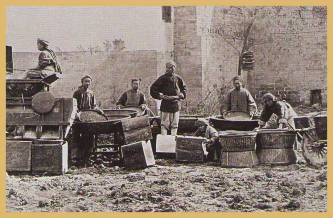 你一定想不到中国茶在国际市场的老对手是谁