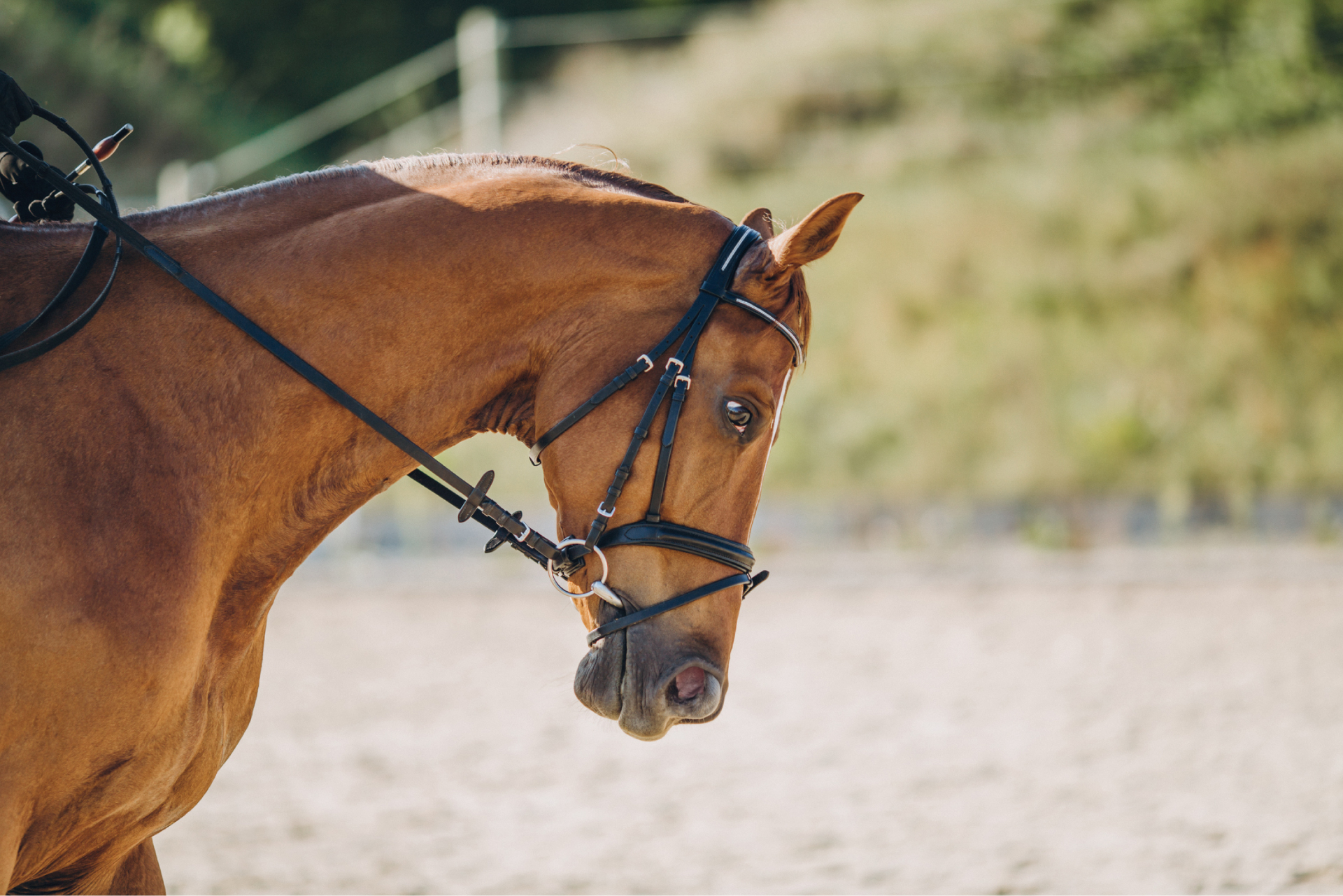 崇明金茂凯悦酒店游泳,金茂崇明凯悦酒店