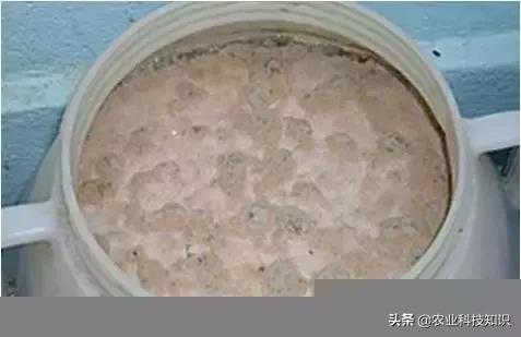 自制环保垃圾酵素危害巨大,厨余环保酵素的制作方法