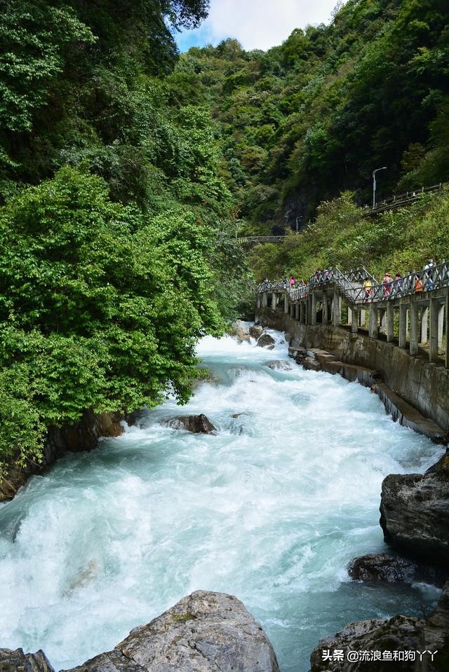 二郎山喇叭河看鹿,二郎山喇叭河看日出攻略