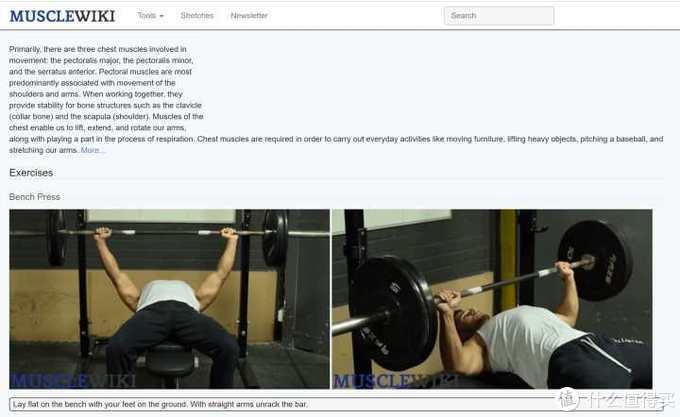 最好用的外国神器,国外好用的实用网站