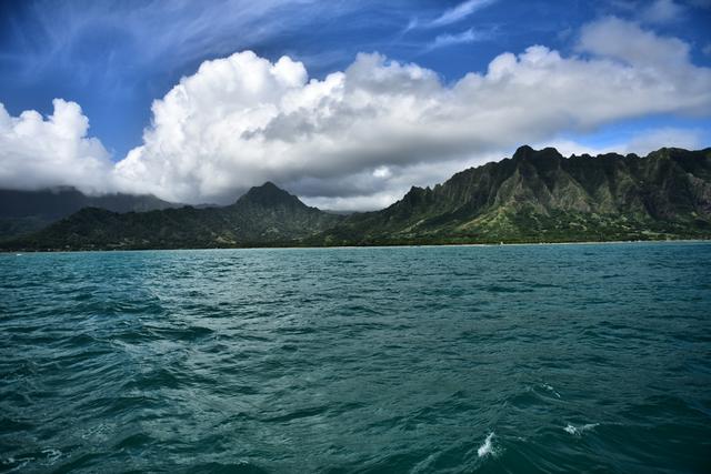 寻找侏罗纪世界中的火山岛,和“驯龙高手”一起拯救史前小短手!