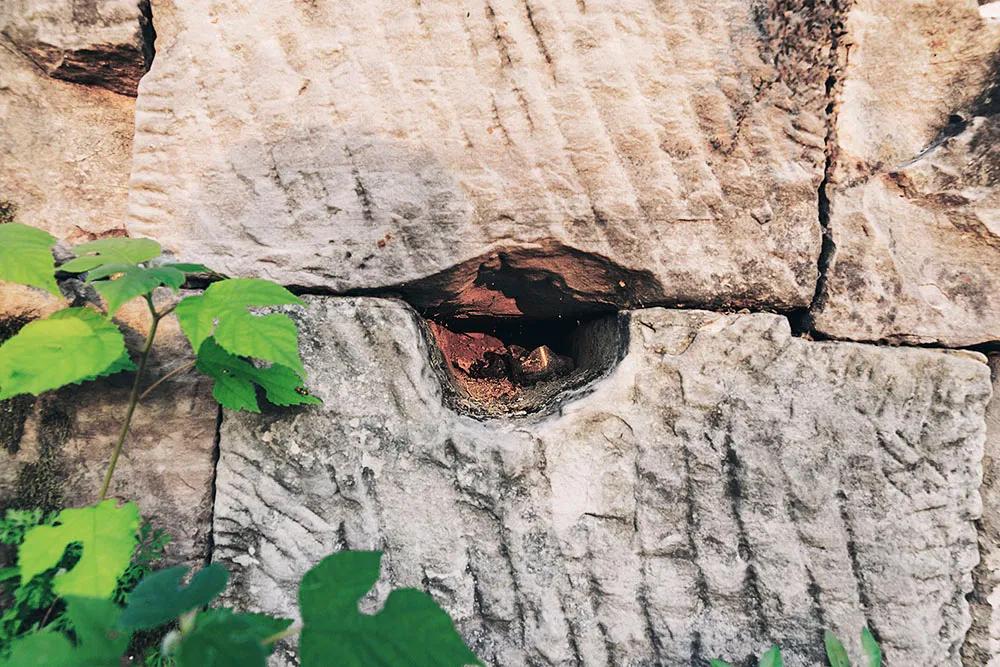 重庆市垫江县鹤游坪,垫江鹤游坪古镇