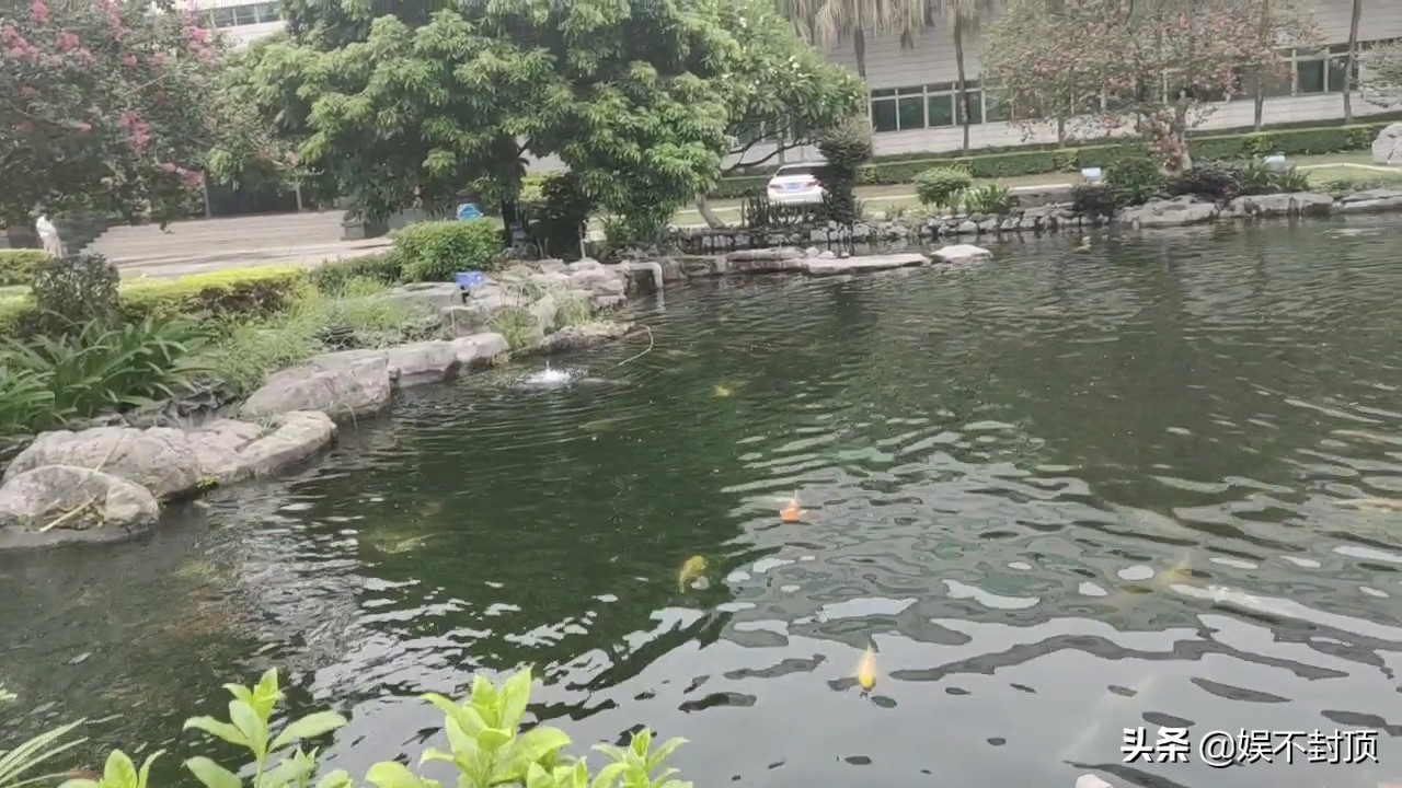 东莞石碣最大的电子厂，工厂变化到底有多大，员工都是这样去上班