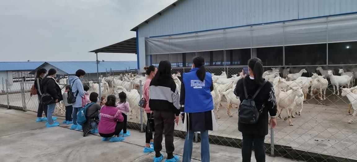 广西优贝优全团队走进欧铂佳牧场，探索国产好奶源