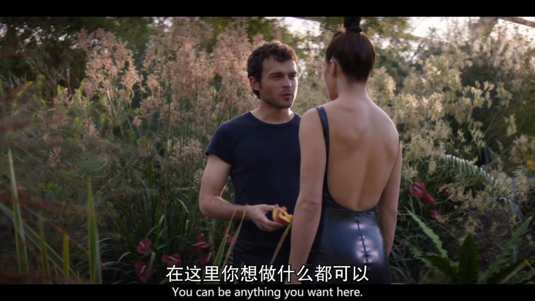 《美丽新世界》，今年尺度最大的美剧