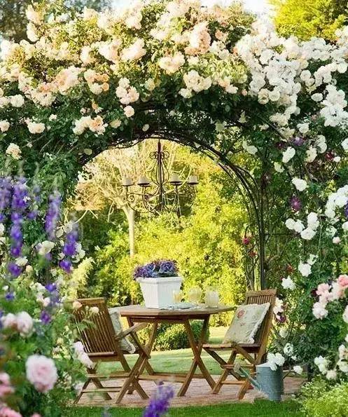 北方庭院室外耐寒植物,庭院驱蚊效果最好植物