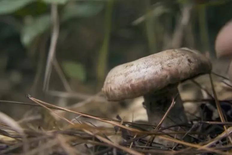 江浙沪冬日温泉泡汤周走起,春节江浙沪2-3天短途旅游温泉