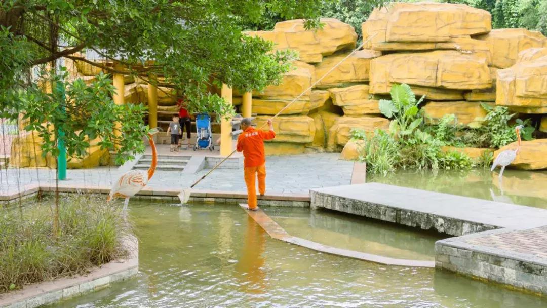 深圳游乐园排名前十名,深圳室内游乐园