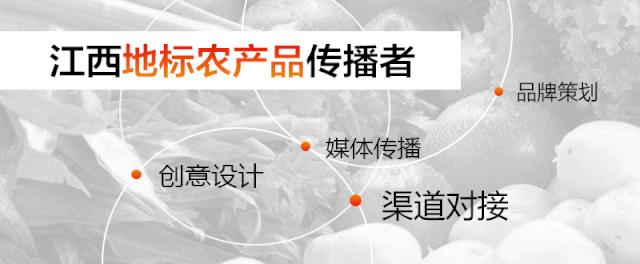 「品牌人物」小丝瓜，大作为，看黄文蒋如何将丝瓜变成致富宝