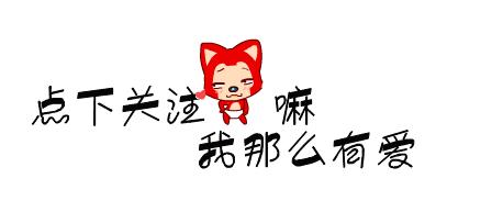 为什么不建议养吉娃娃,吉娃娃犬与吉娃娃哪个好养