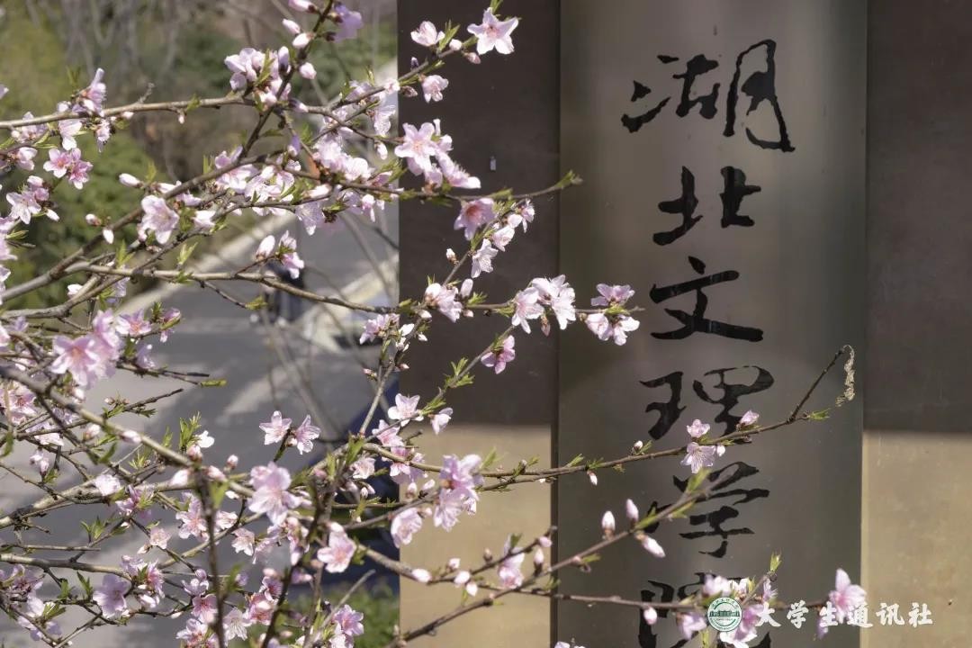 央视多次点赞武汉,央视点赞武汉直播