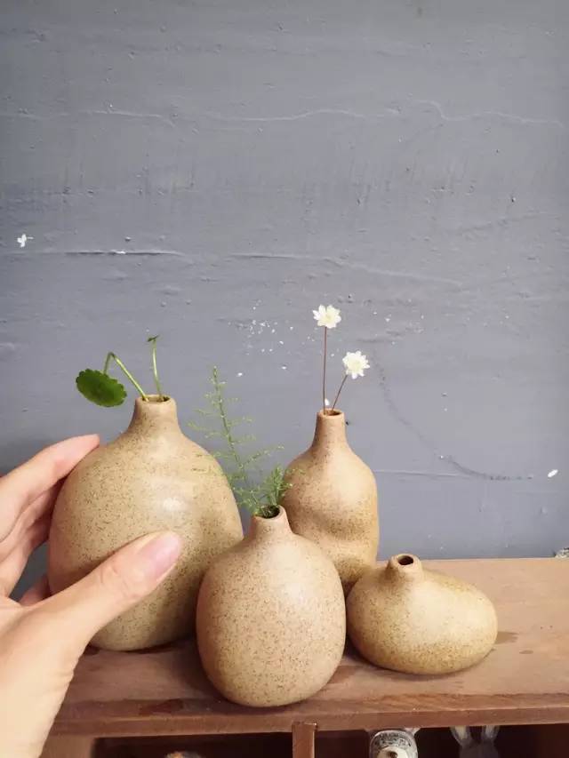 梦想改造家小户型,农村庭院改造效果图大全