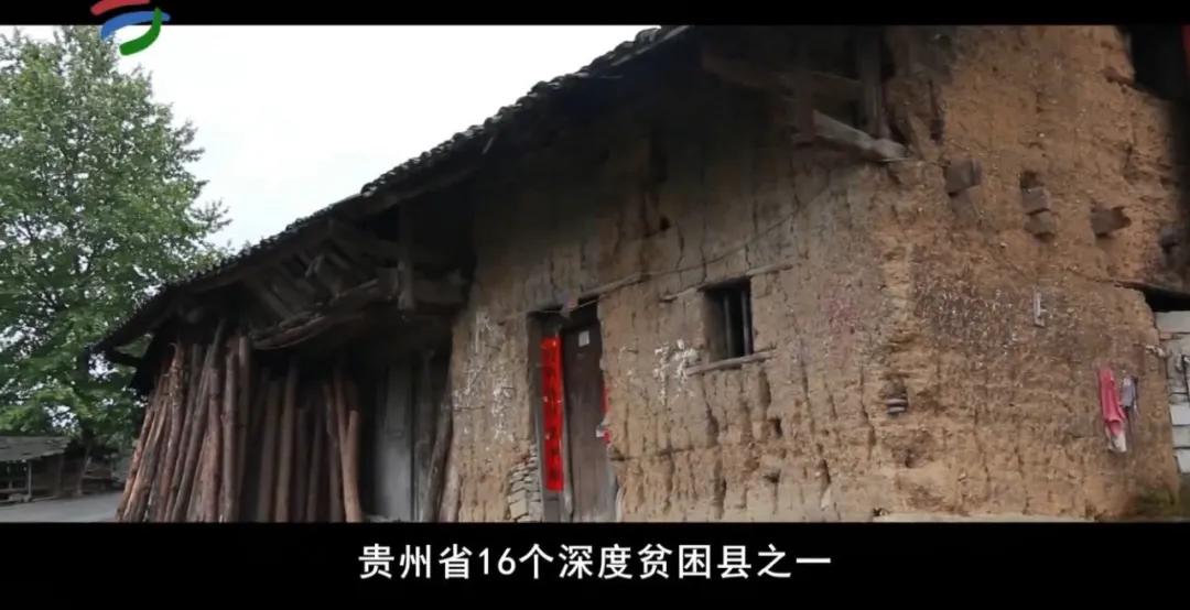 玩吉他真的好吗,玩吉他有出路吗