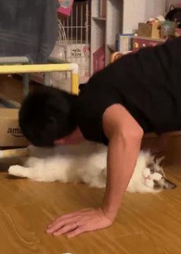 儿子心理有问题怎么办,儿子心理有毛病怎么办