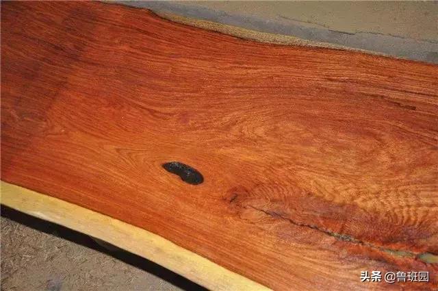 奥氏黄檀和微凹黄檀,奥氏黄檀原木