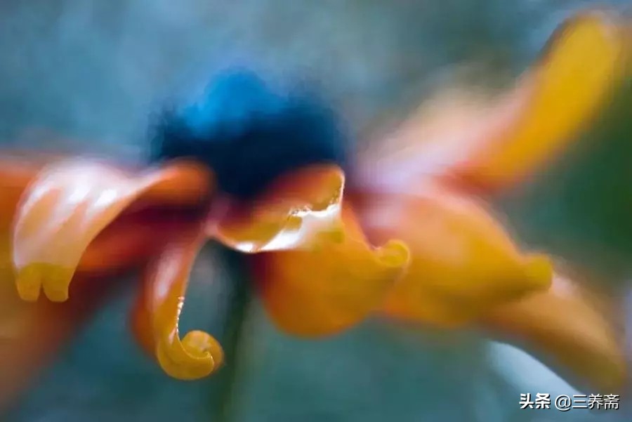 夜宿山寺李白古诗背诵,夜宿山寺古诗李白动画讲解