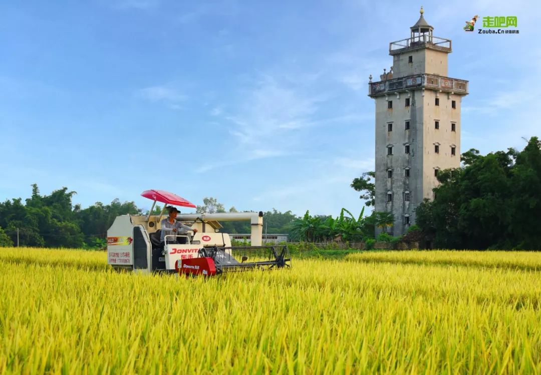 你不知道的台山故事，由旅游局局长亲述，带你看看不一样的台山