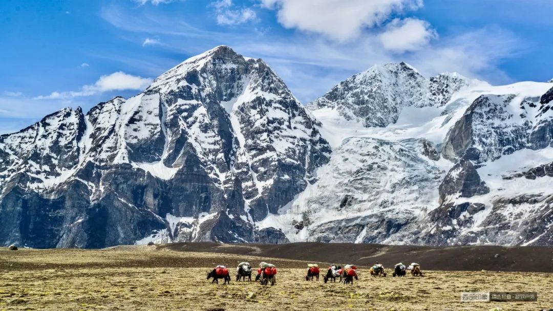 没时间废话了,快去希夏邦马