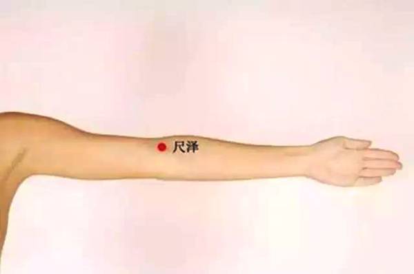 张医生教您穴位按摩从此告别医院！第二篇