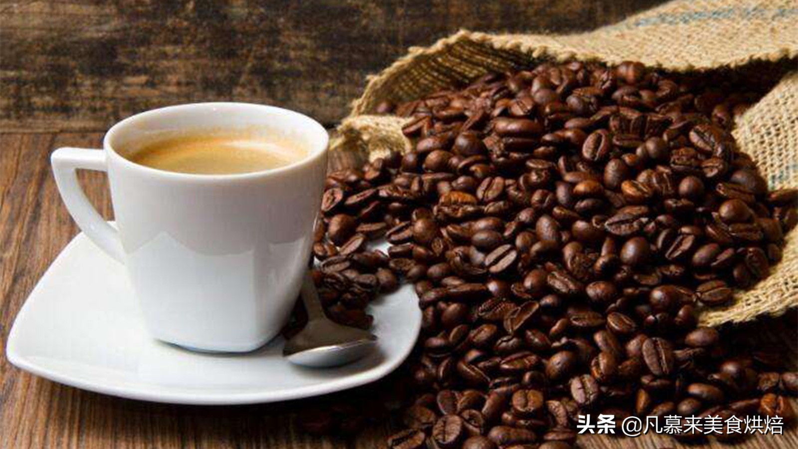 猫屎咖啡多少钱100克,正宗猫屎咖啡一斤多少钱