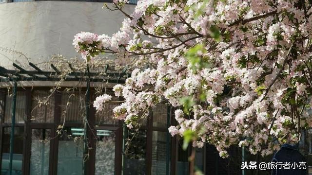 天津旅游必去十大景点推荐理由,天津旅游必去十大景点排行榜