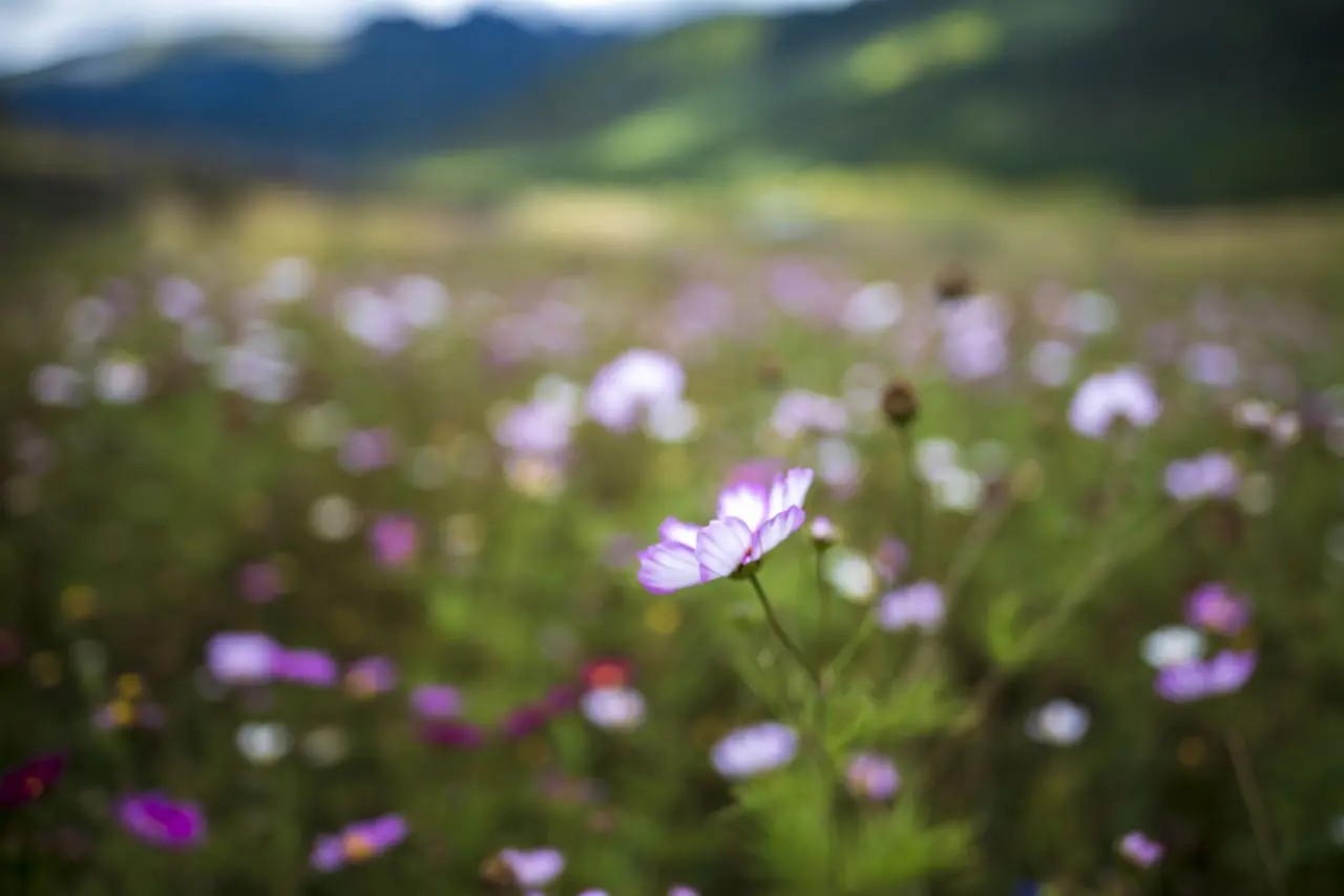 小孩第1次住校的心理,心理文章