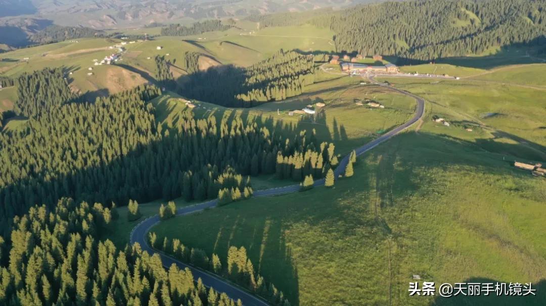 天丽镜头签约摄影作品,天丽长焦镜头