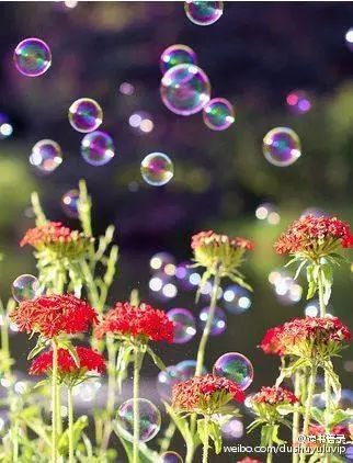 源自古诗的经典成语,诗词优美的成语